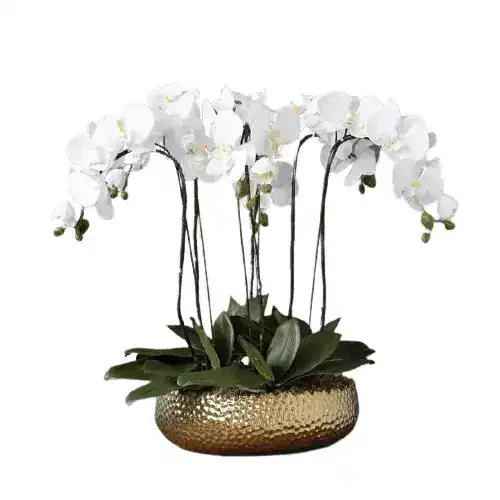 6 Stems White Phalaenopsis Arrangement in Golden Pot - Image 3