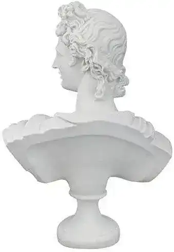 Apollo Belvedere Bust Sculpture - Image 5