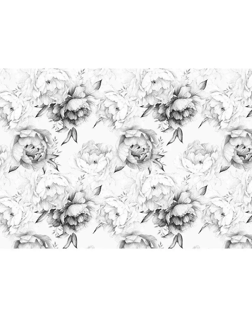 Black and White Peonies Watercolor Large Flowers Wall Mural - Image 6