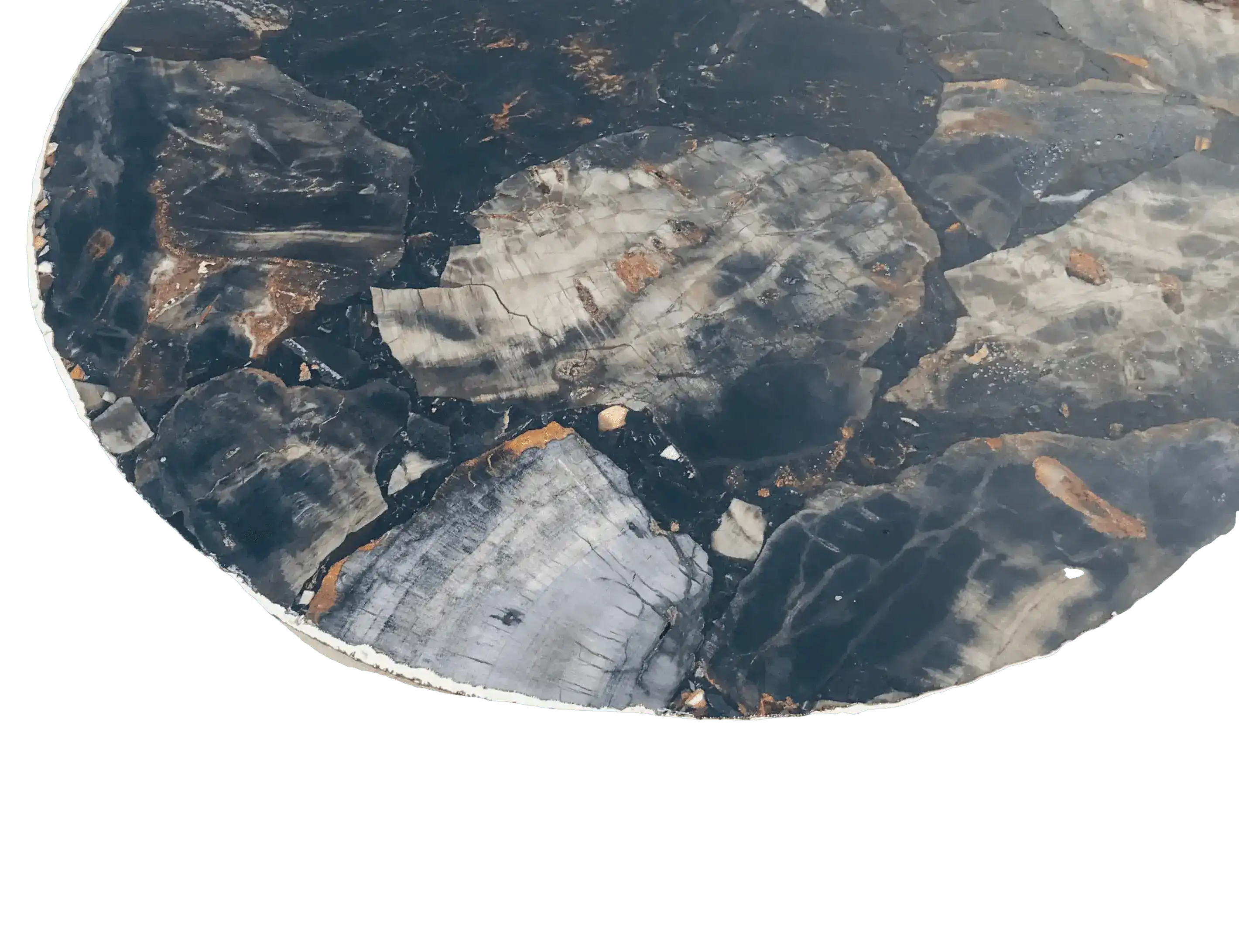 Black Petrified Wood Agate Round Edge Side Table - Image 9