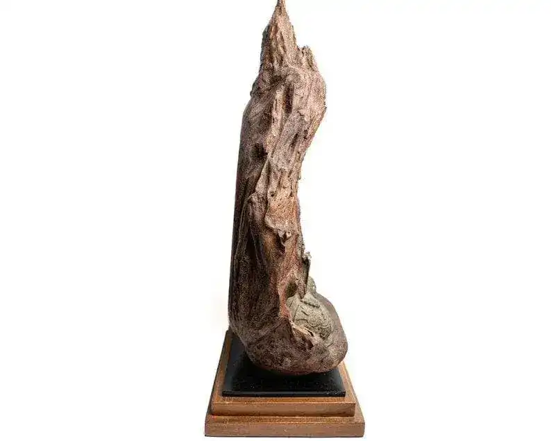 Bronze Meditating Buddha in the Wood Figurine - Large - Image 4