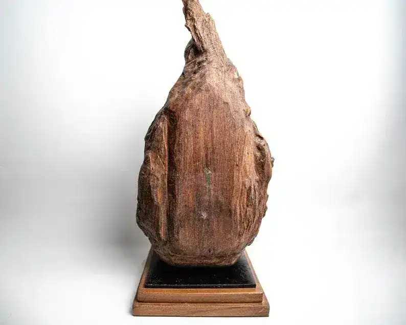 Bronze Meditating Buddha in the Wood Figurine - Large - Image 5