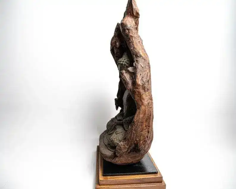 Bronze Meditating Buddha in the Wood Figurine - Large - Image 6