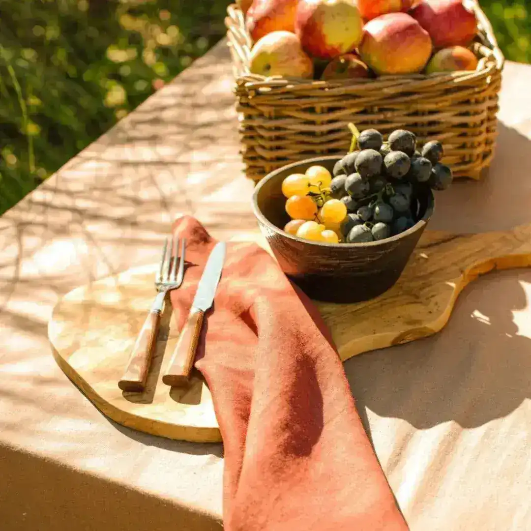 Burnt Orange Placemats - Image 2