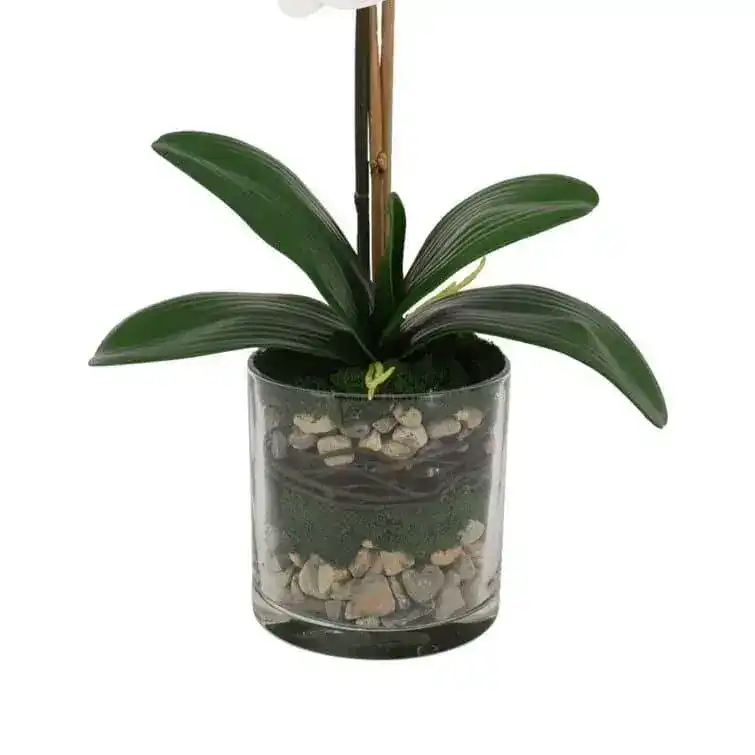 Faux White Phalaenopsis Orchid Arrangement in Glass Vase - Image 3