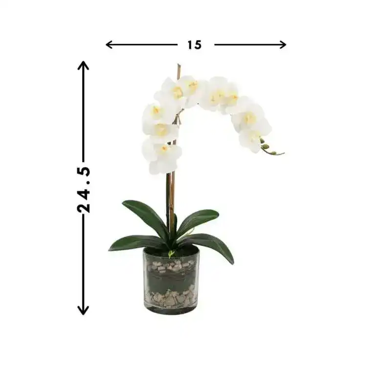 Faux White Phalaenopsis Orchid Arrangement in Glass Vase - Image 4