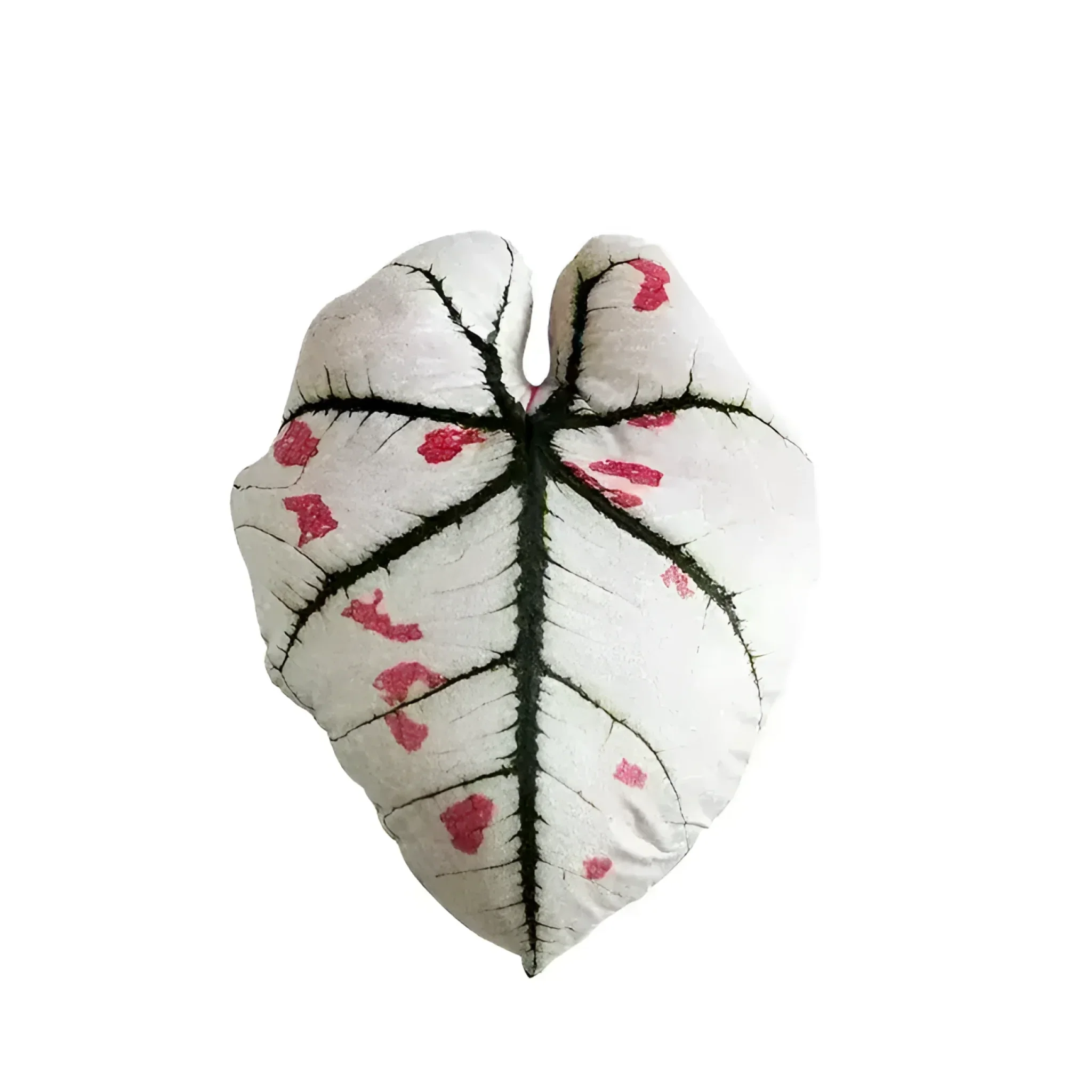 For the Love of Monstera Leaf Decorative Throw Pillow - Image 4