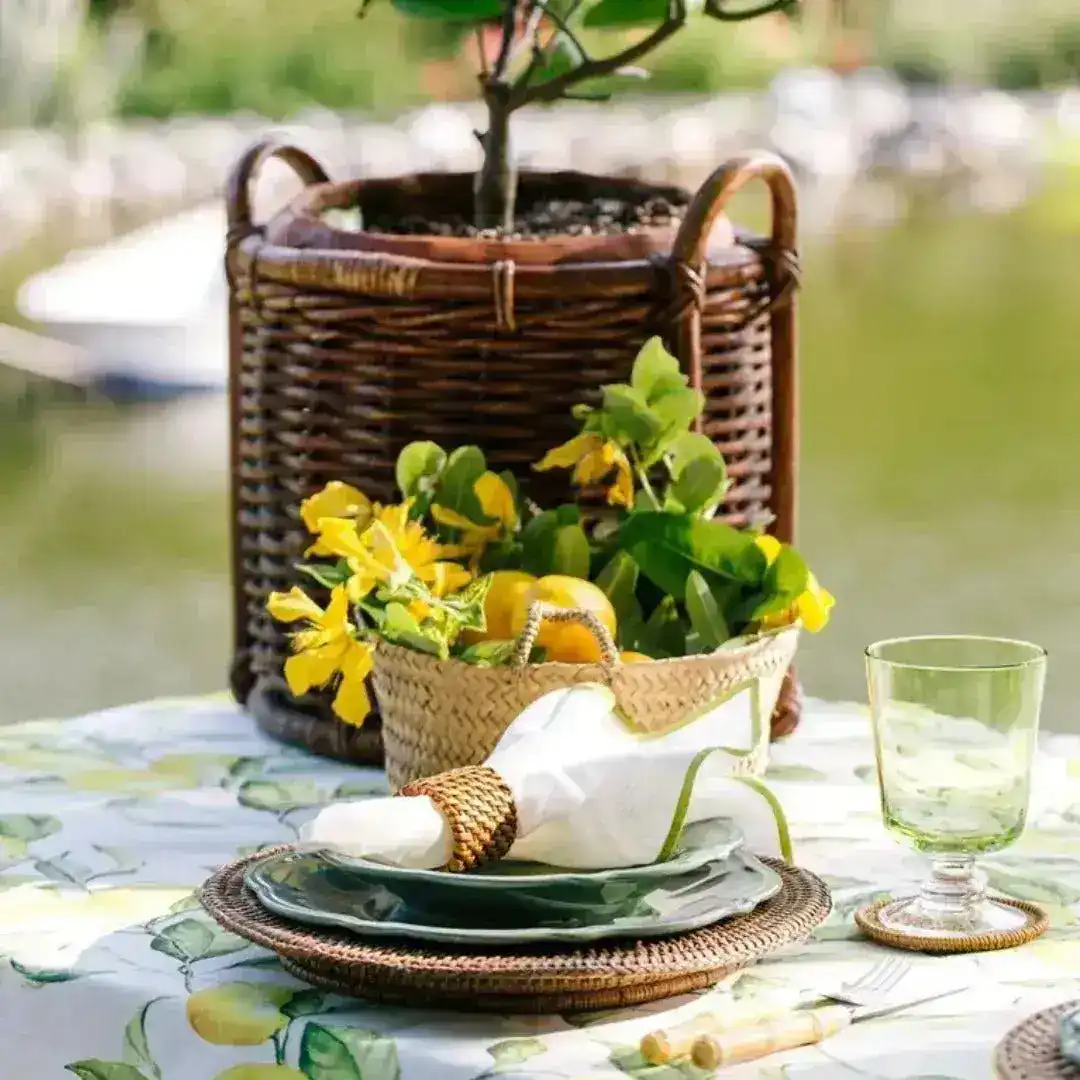 Lemonade Love Placemats - Image 2