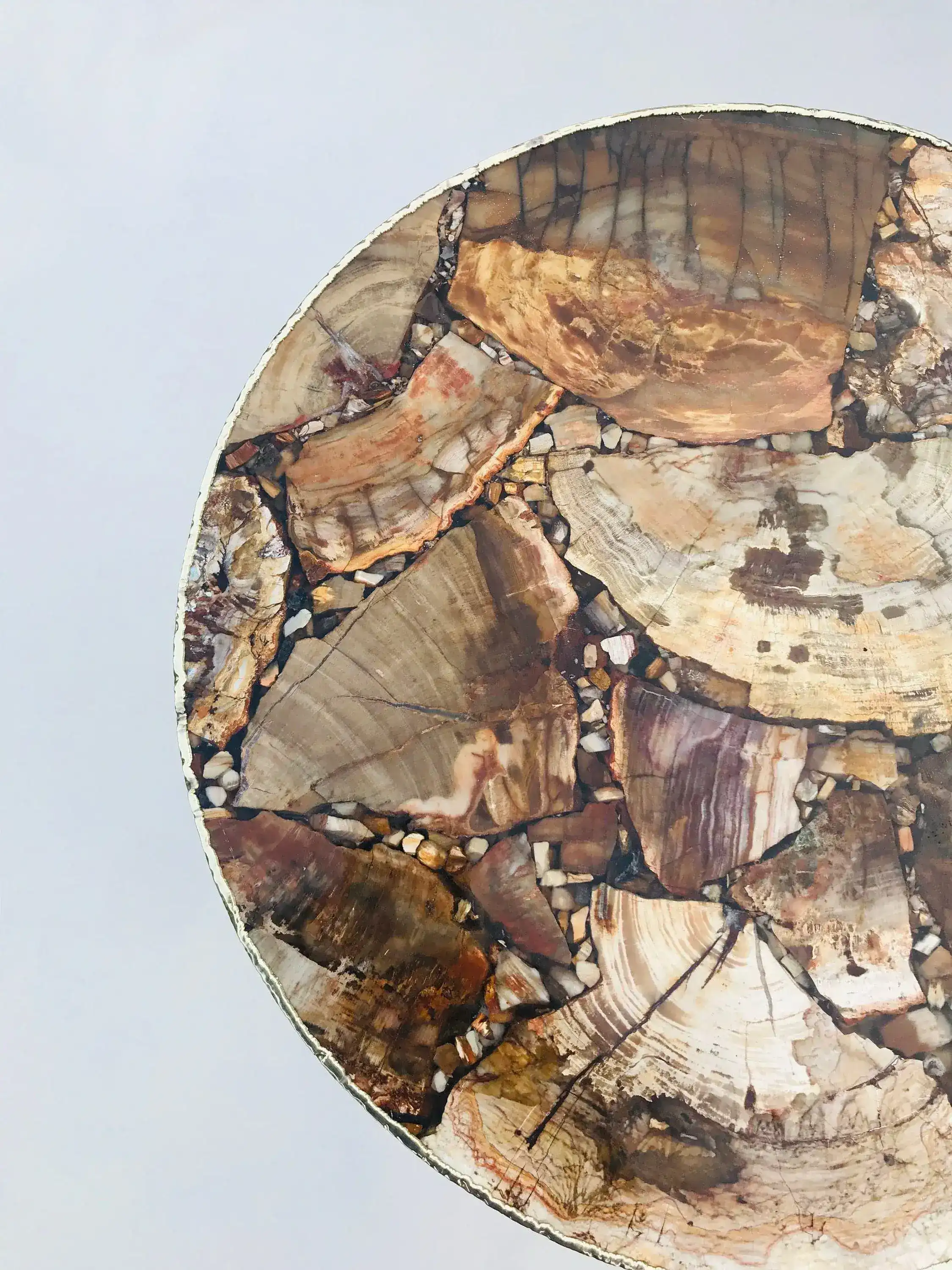 Petrified Wood Agate Round Edge Side Coffee Table - Image 3