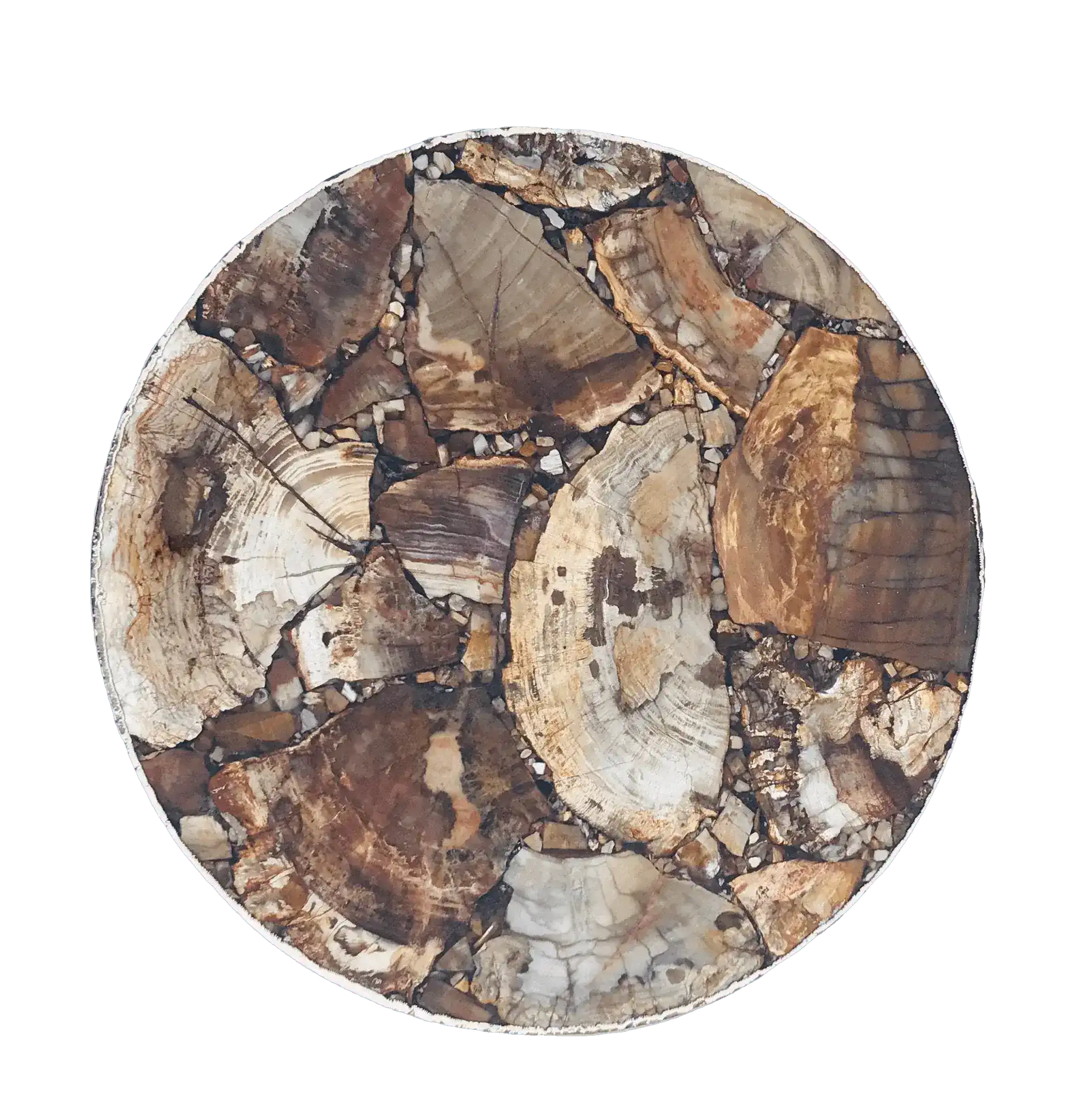 Petrified Wood Agate Round Edge Side Coffee Table - Image 7