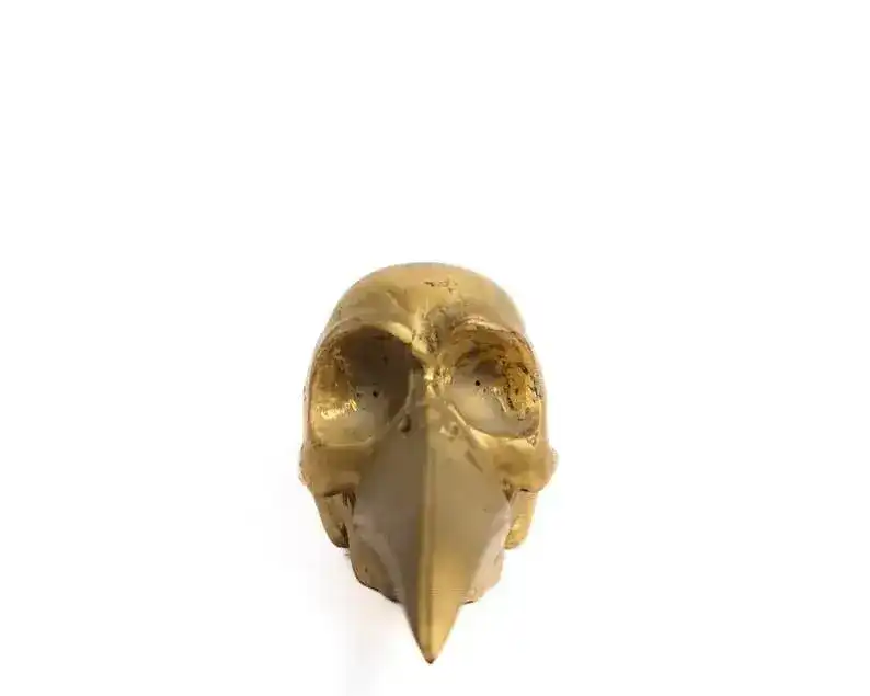 Solid Brass Bird Skull Figurine - Image 3