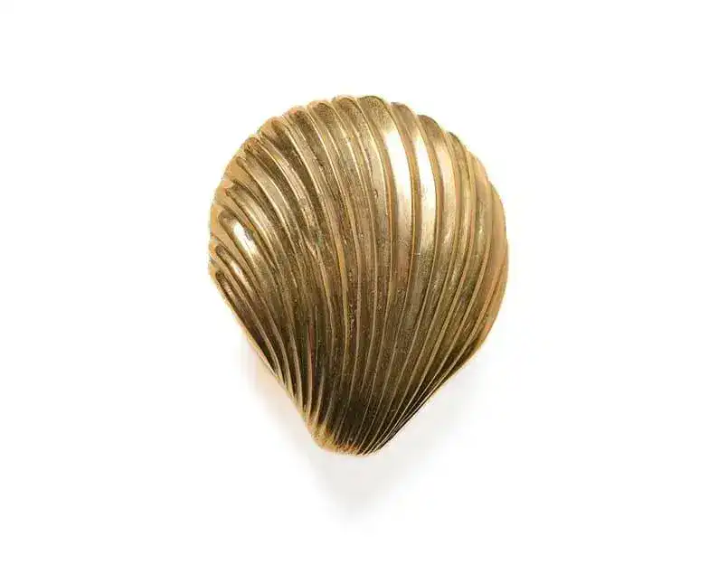 Solid Brass Clam Shell Shaped Wall Hanging Hook - Image 5