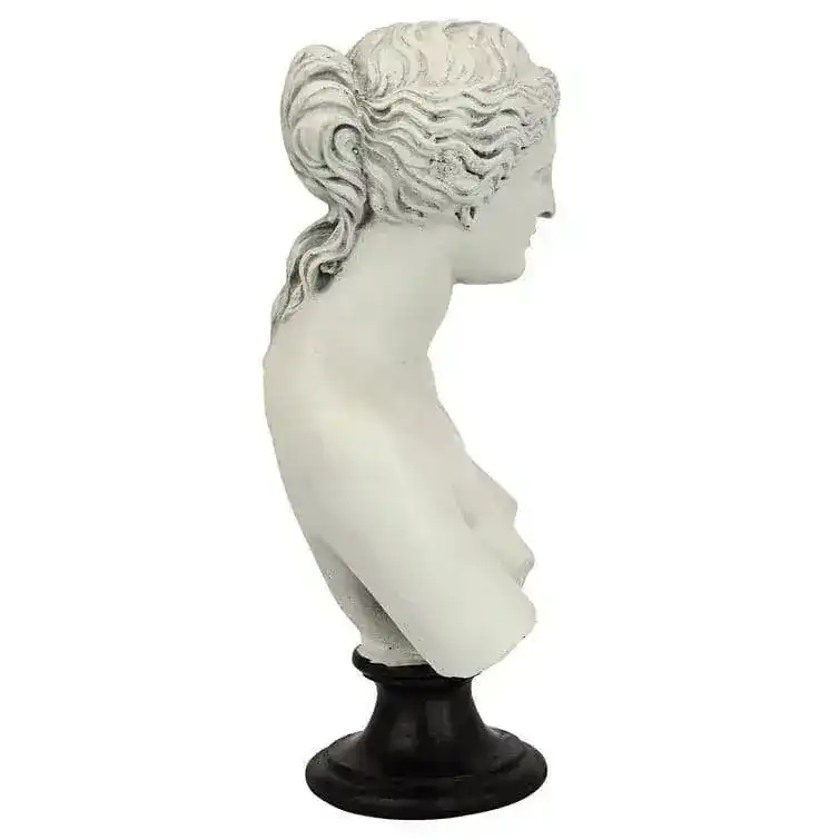 Venus de Milo Bust on Black Stand - Image 5